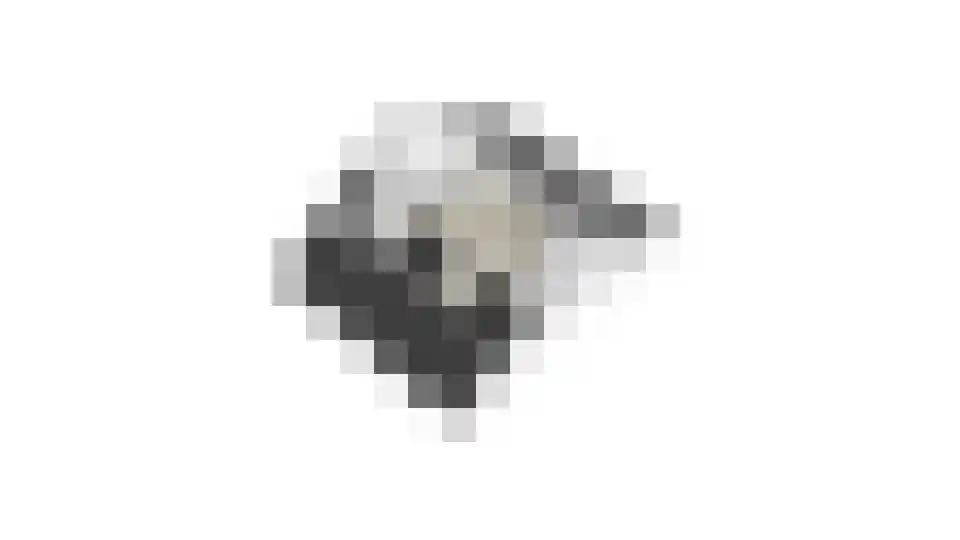 Reigerskamp 465 Maarssen thumbnail 69