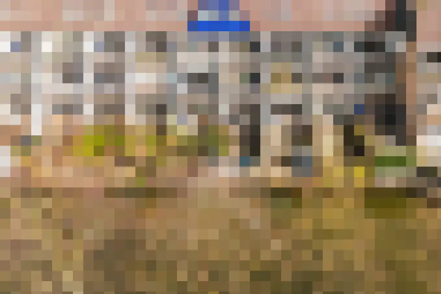 Reigerskamp 489 Maarssen thumbnail 17