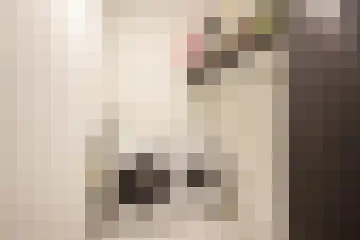 Reigerskamp 490 Maarssen thumbnail 17