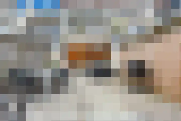 Reigerskamp 490 Maarssen thumbnail 21