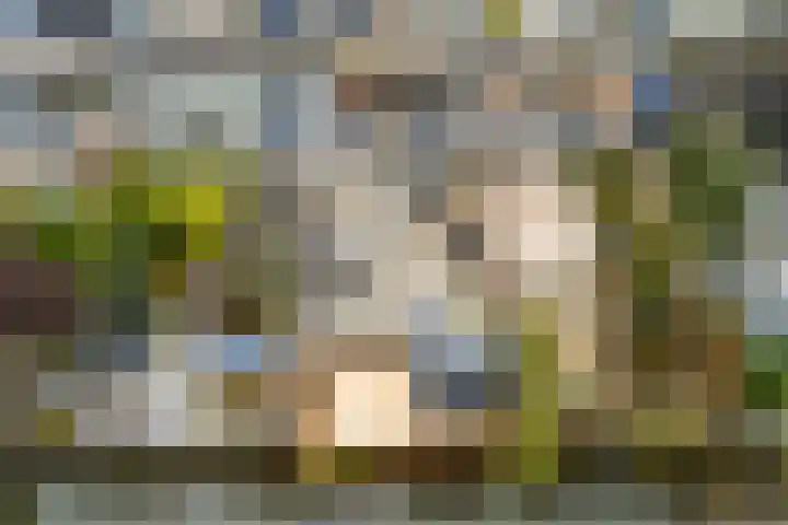 Reigerskamp 490 Maarssen thumbnail 22