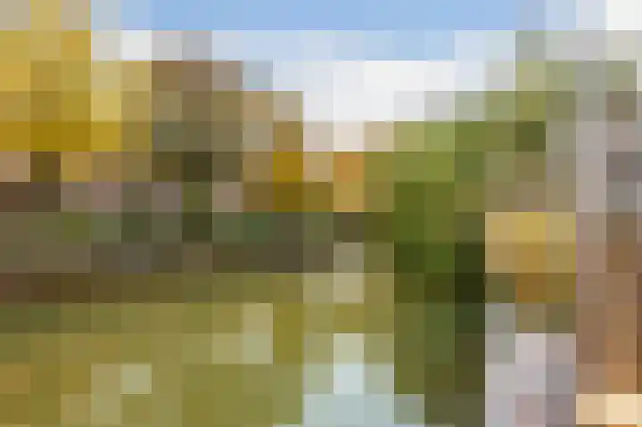 Reigerskamp 490 Maarssen thumbnail 23