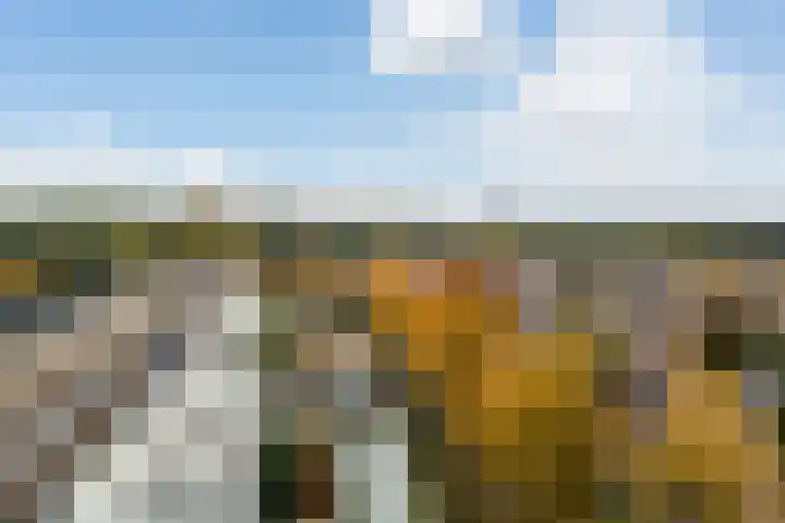 Reigerskamp 490 Maarssen thumbnail 24
