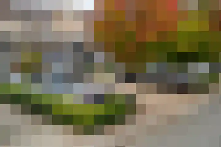 Reigerskamp 490 Maarssen thumbnail 26