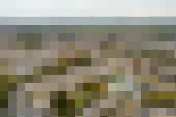 Reigerskamp 490 Maarssen thumbnail 27
