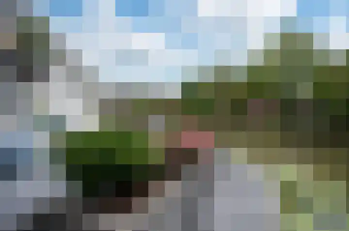 Reigerskamp 492 Maarssen thumbnail 32