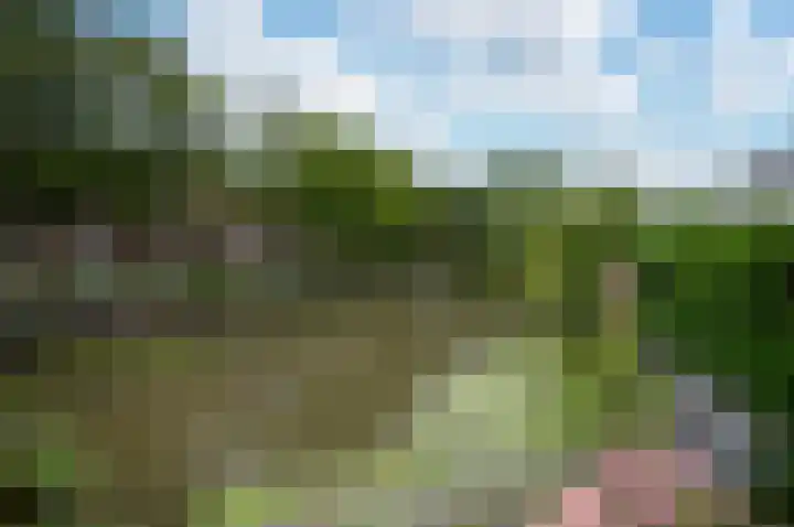 Reigerskamp 492 Maarssen thumbnail 34