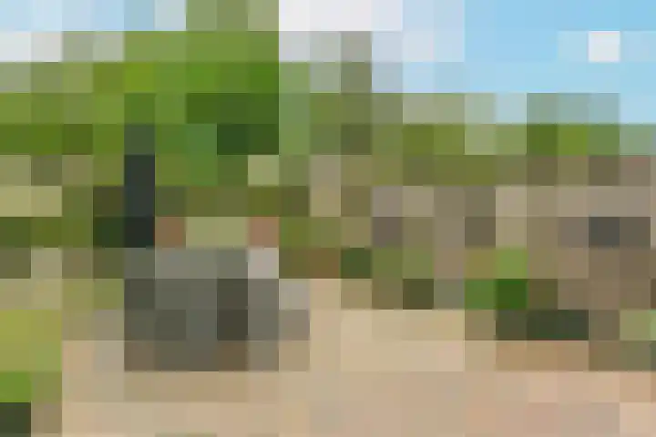 Reigerskamp 499 Maarssen thumbnail 28