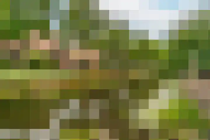 Reigerskamp 499 Maarssen thumbnail 29
