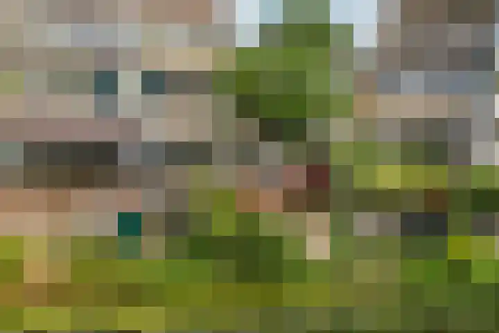 Reigerskamp 499 Maarssen thumbnail 30