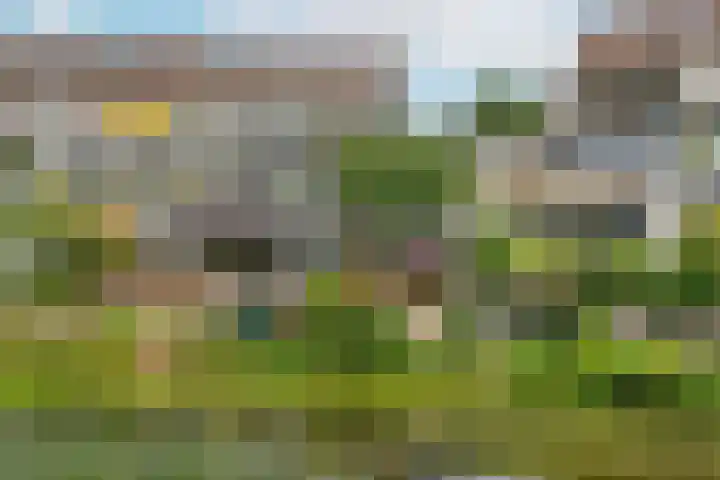 Reigerskamp 499 Maarssen thumbnail 31