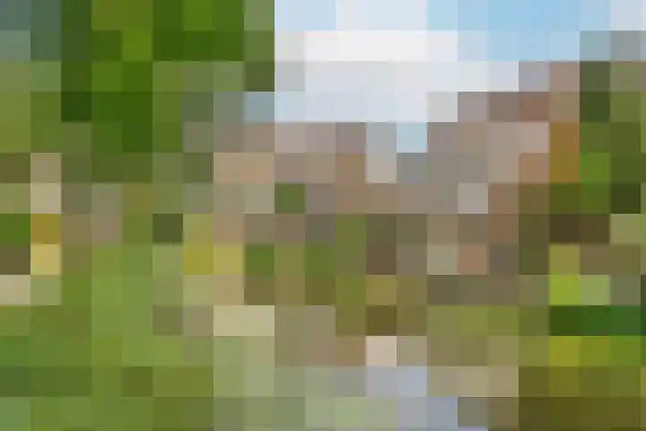 Reigerskamp 499 Maarssen thumbnail 5