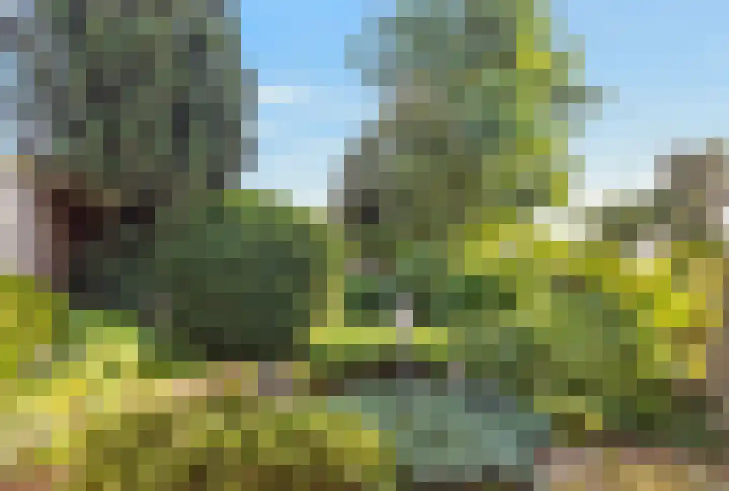 Reigerskamp 5 Maarssen thumbnail 33