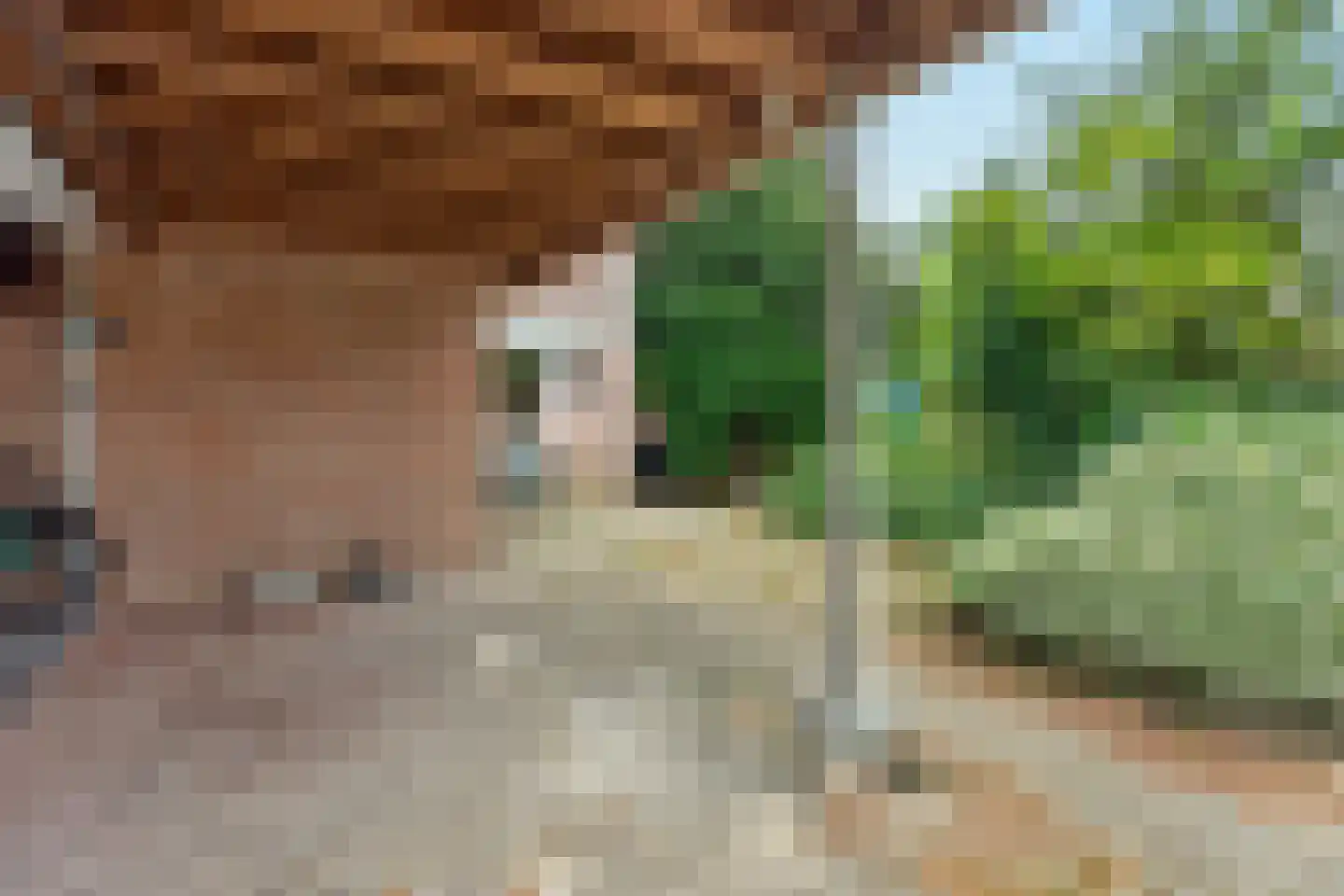 Reigerskamp 5 Maarssen thumbnail 38