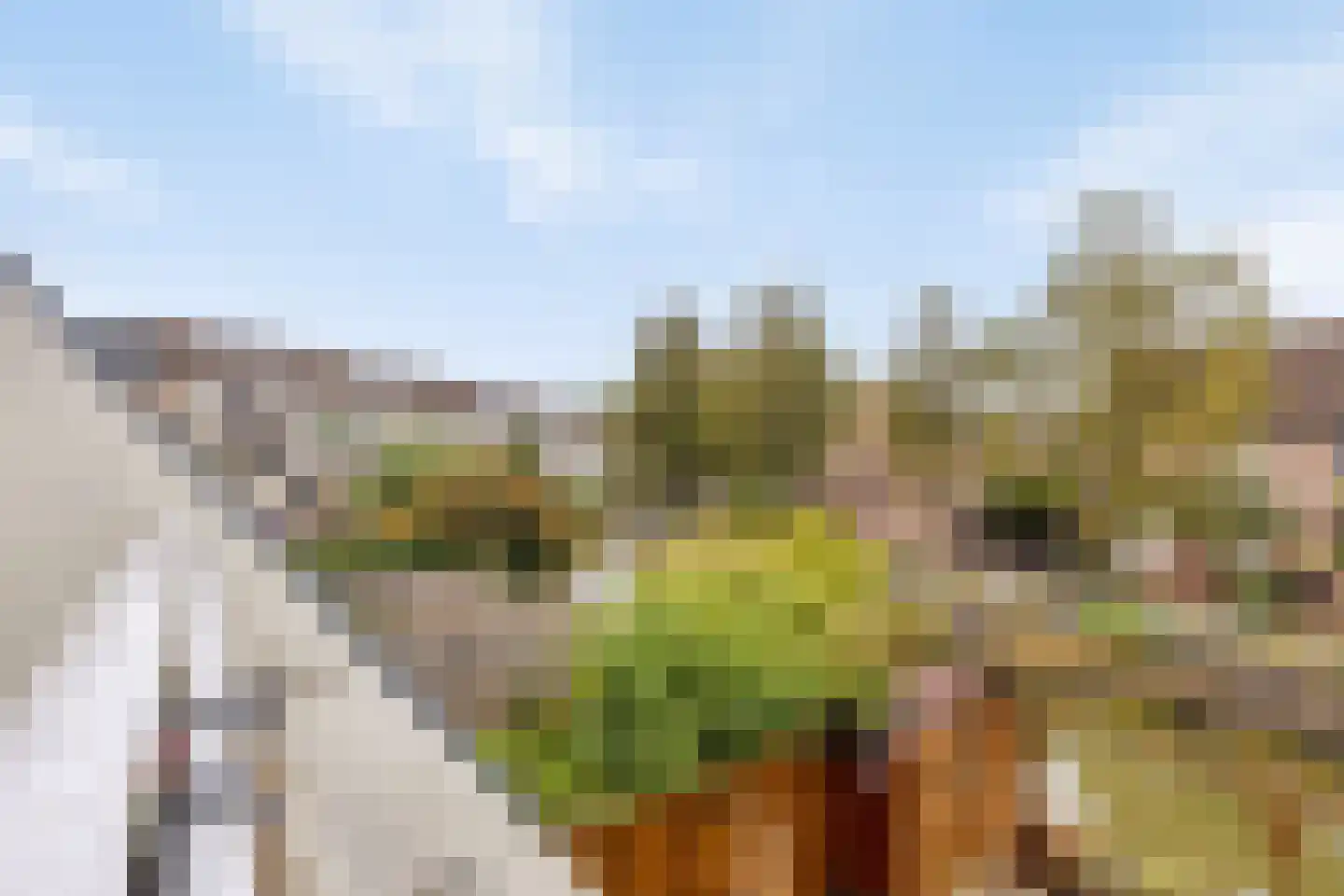 Reigerskamp 511 Maarssen thumbnail 18
