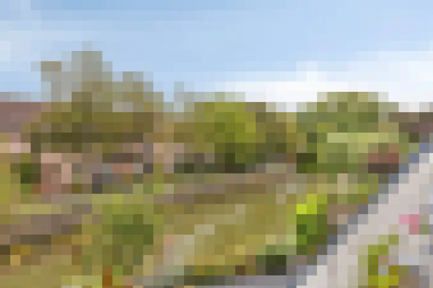 Reigerskamp 511 Maarssen thumbnail 22