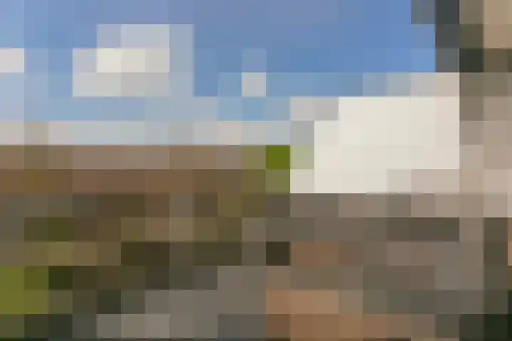 Reigerskamp 530 Maarssen thumbnail 13
