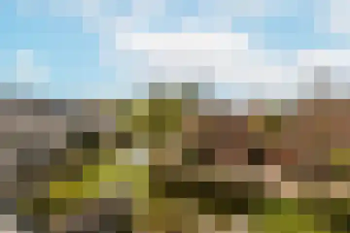 Reigerskamp 530 Maarssen thumbnail 15