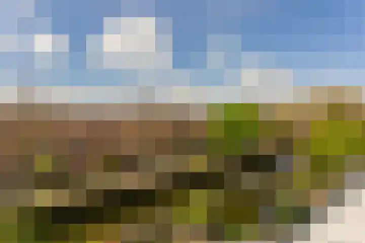 Reigerskamp 530 Maarssen thumbnail 16