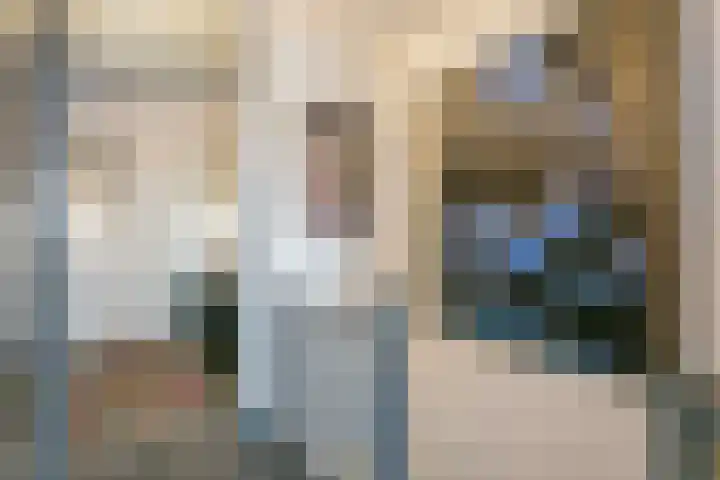 Reigerskamp 530 Maarssen thumbnail 17