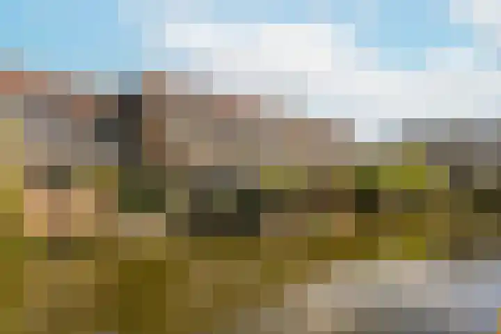 Reigerskamp 530 Maarssen thumbnail 23