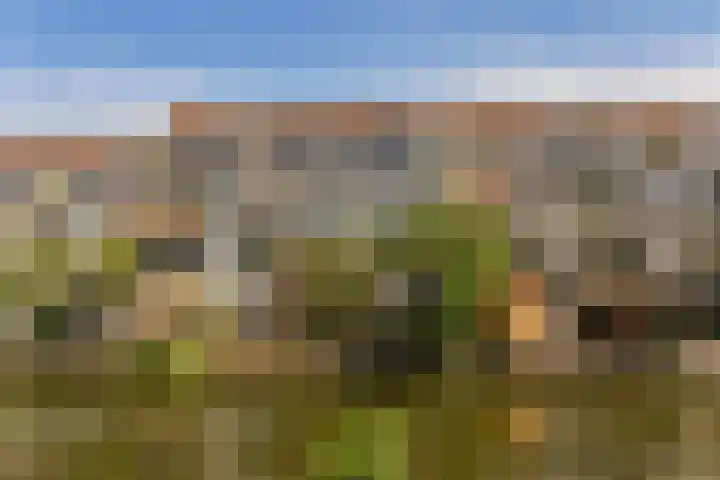 Reigerskamp 530 Maarssen thumbnail 24