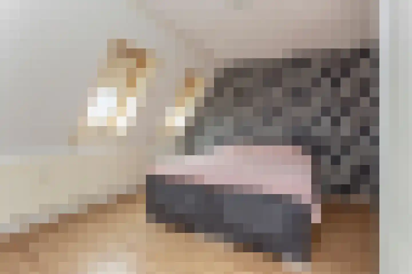 Reigerskamp 531 Maarssen thumbnail 17