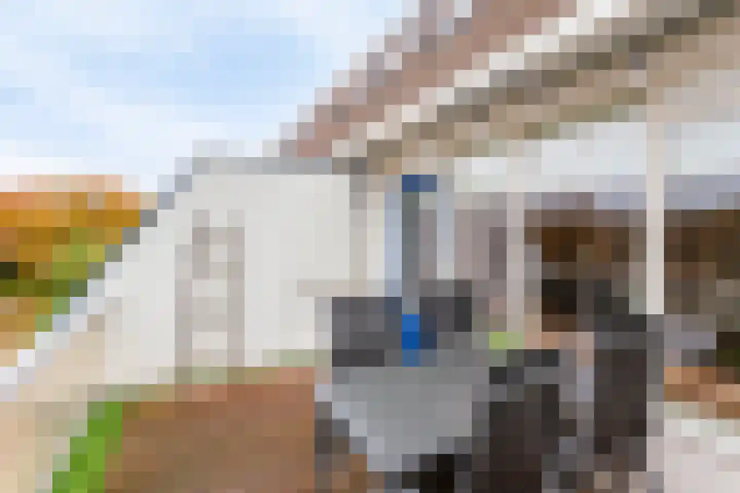 Reigerskamp 531 Maarssen thumbnail 25