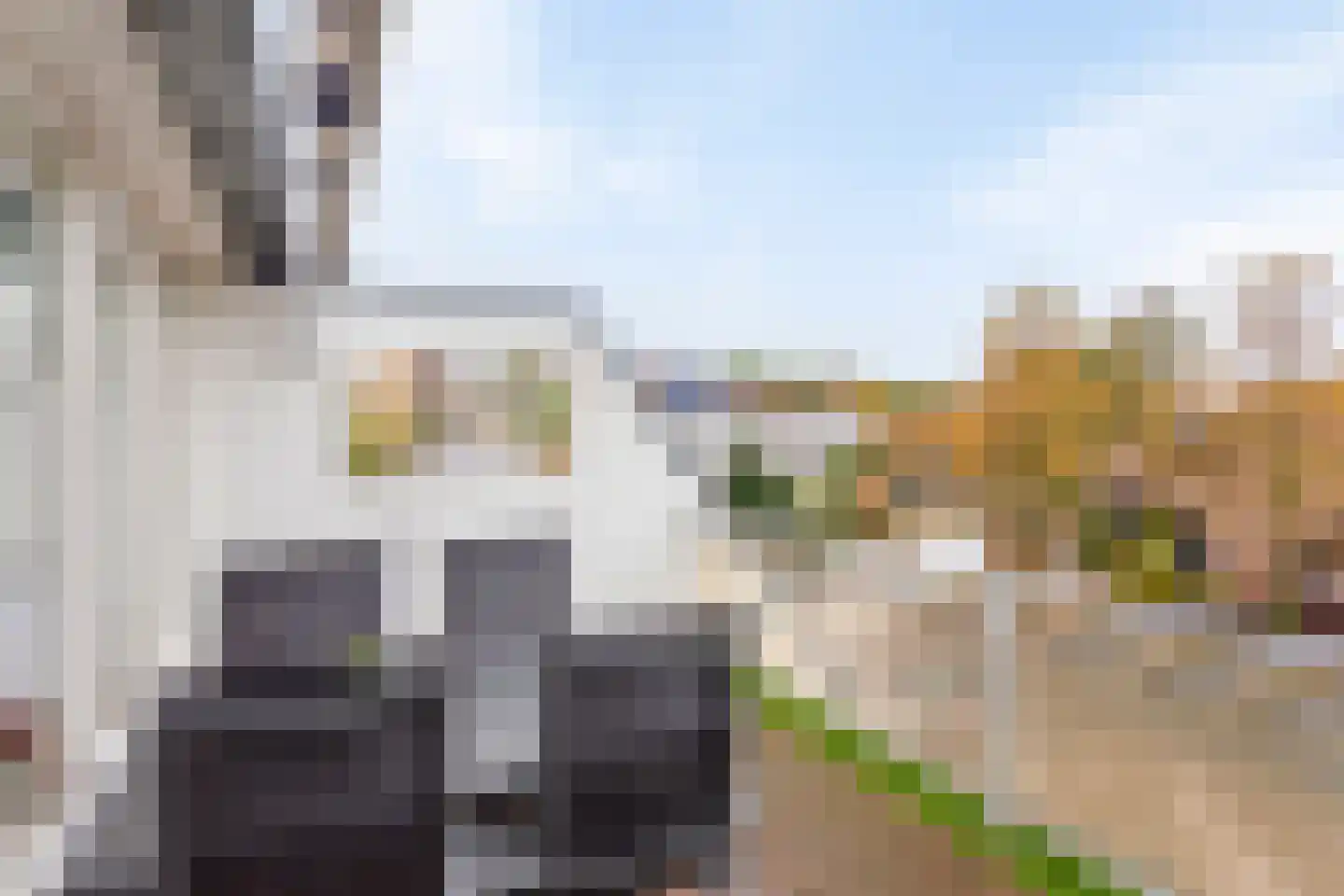 Reigerskamp 531 Maarssen thumbnail 26