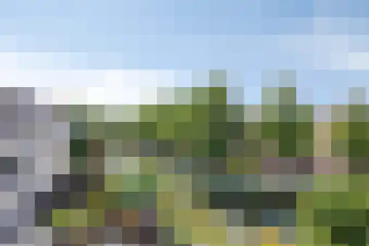 Reigerskamp 534 Maarssen thumbnail 30