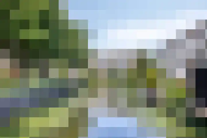Reigerskamp 534 Maarssen thumbnail 31