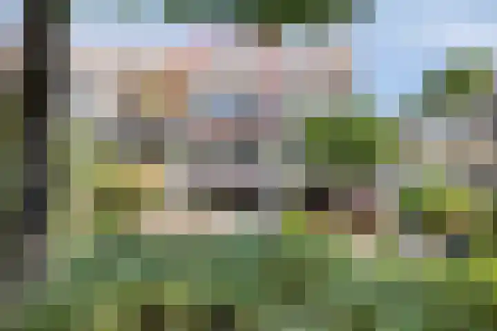 Reigerskamp 534 Maarssen thumbnail 32