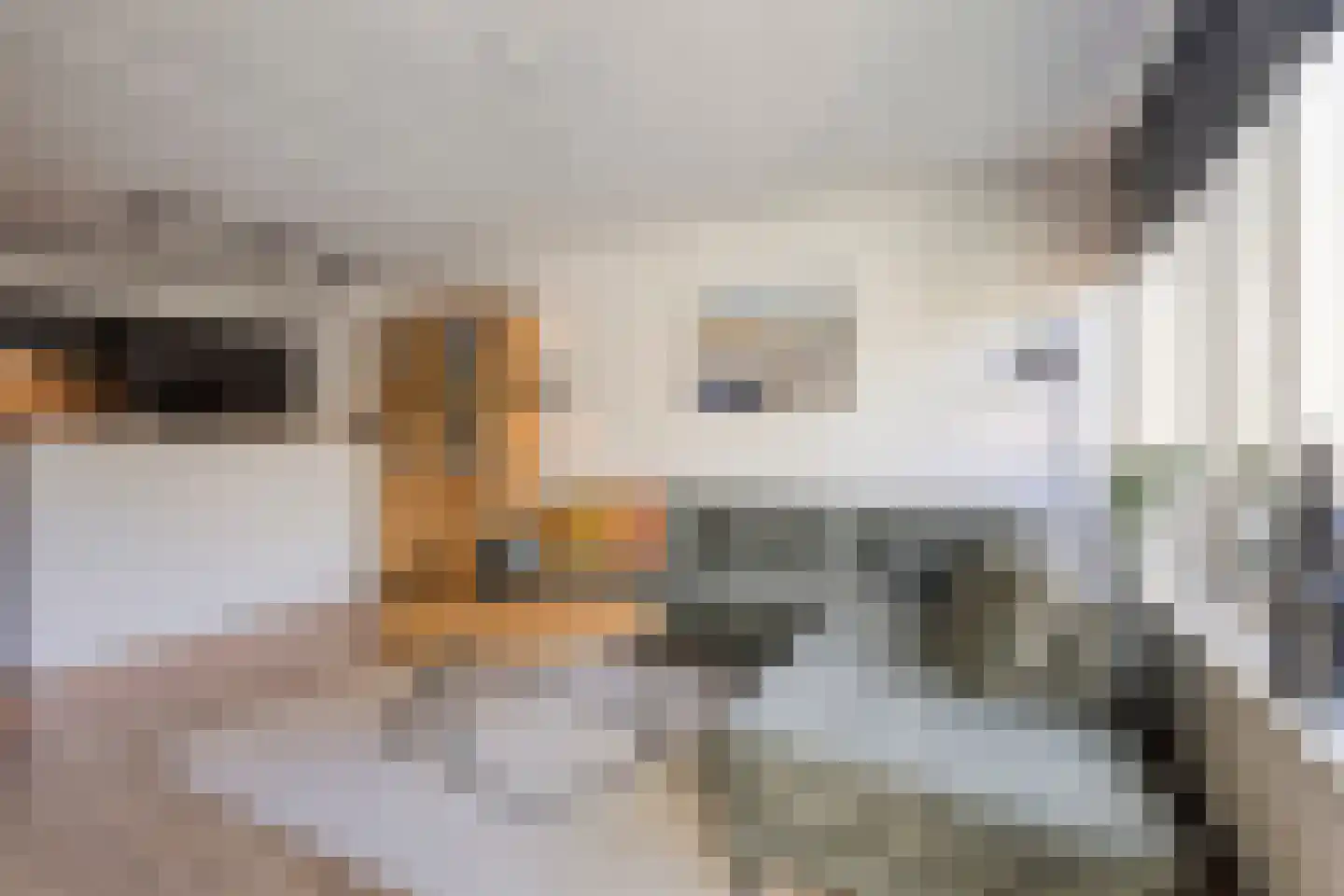 Reigerskamp 565 Maarssen thumbnail 10