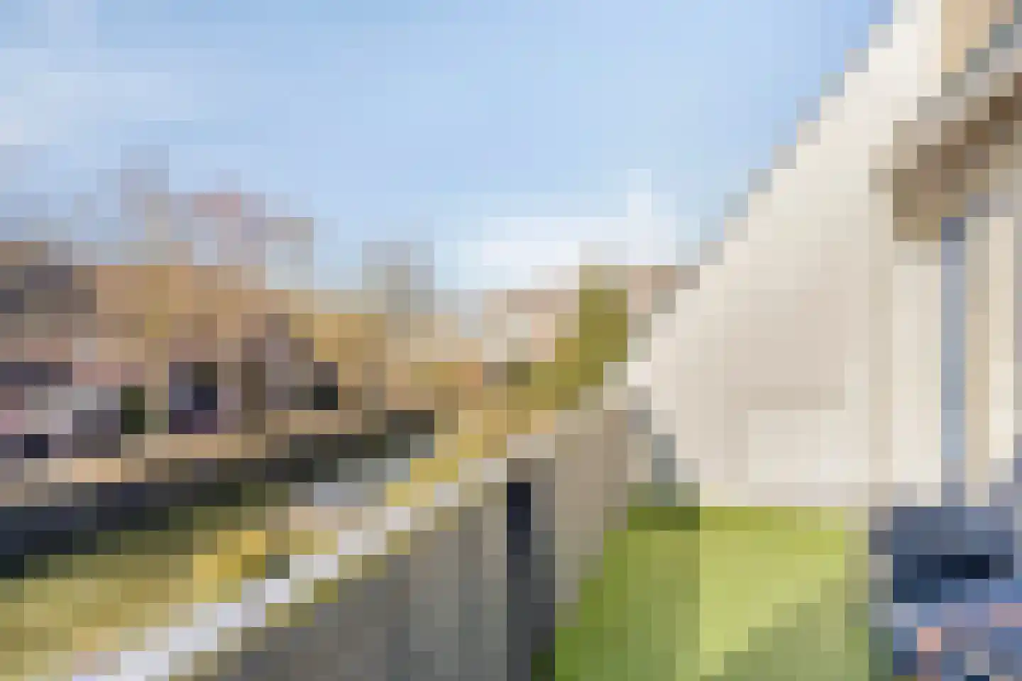 Reigerskamp 565 Maarssen thumbnail 14