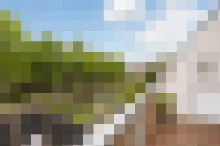 Reigerskamp 567 Maarssen thumbnail 13