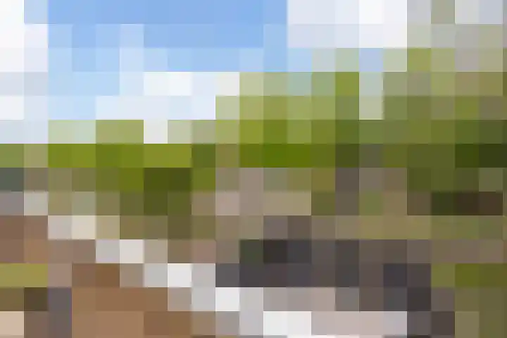 Reigerskamp 567 Maarssen thumbnail 14