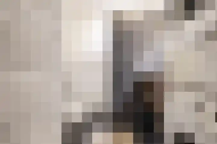 Reigerskamp 567 Maarssen thumbnail 18