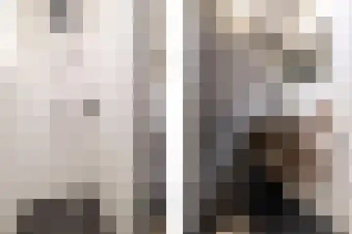 Reigerskamp 567 Maarssen thumbnail 19