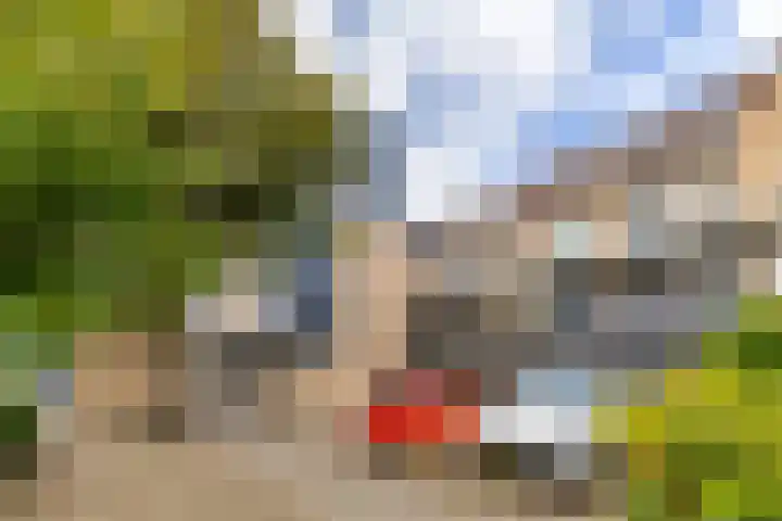 Reigerskamp 567 Maarssen thumbnail 22