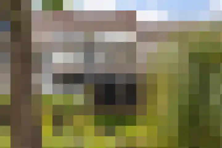 Reigerskamp 567 Maarssen thumbnail 24
