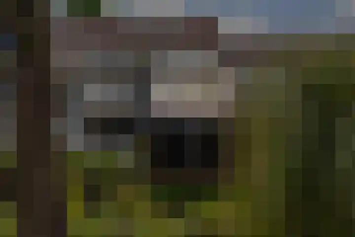 Reigerskamp 567 Maarssen thumbnail 25