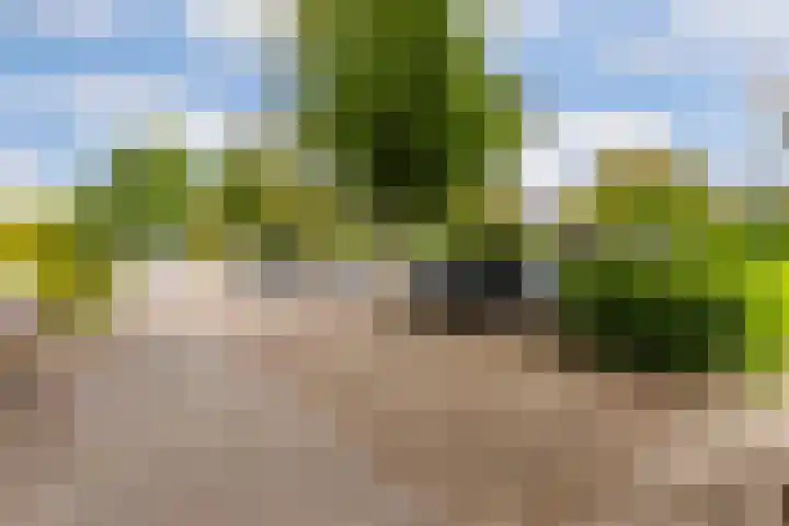 Reigerskamp 567 Maarssen thumbnail 27