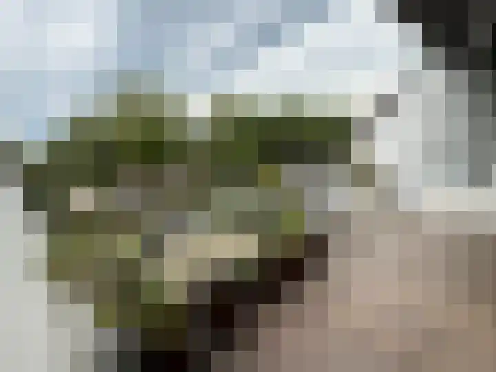 Reigerskamp 571 Maarssen thumbnail 12