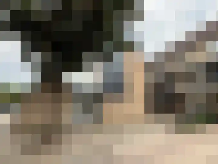 Reigerskamp 571 Maarssen thumbnail 24
