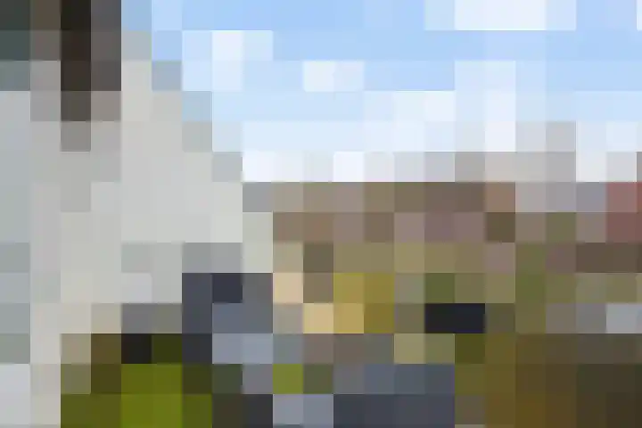 Reigerskamp 573 Maarssen thumbnail 23