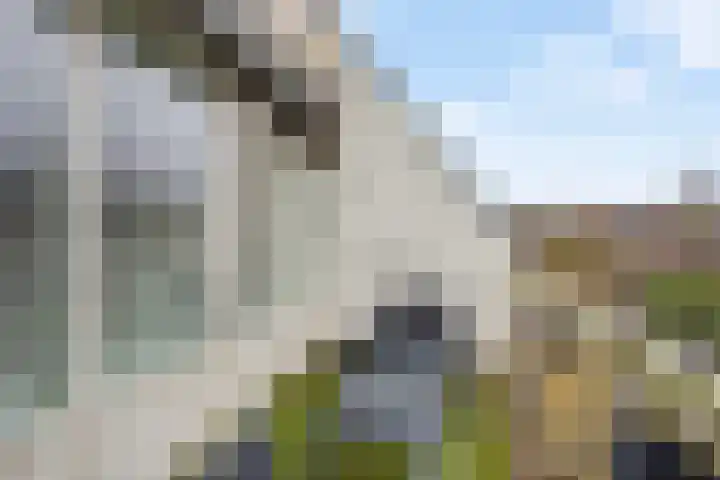 Reigerskamp 573 Maarssen thumbnail 24