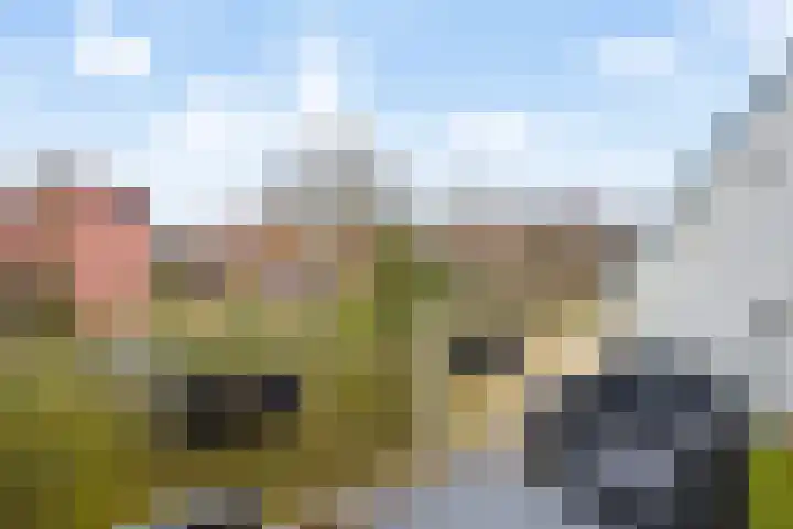 Reigerskamp 573 Maarssen thumbnail 25