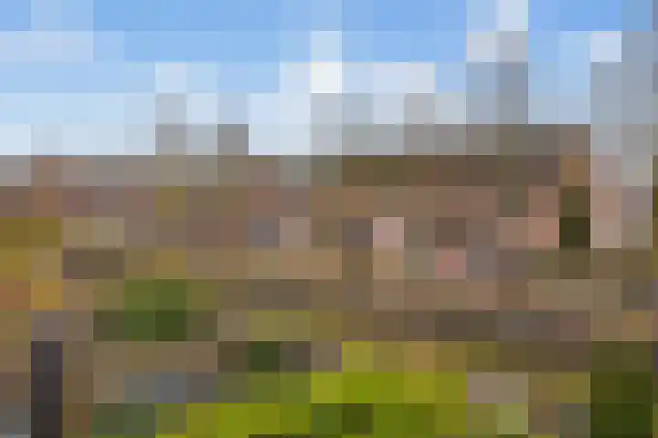 Reigerskamp 573 Maarssen thumbnail 26