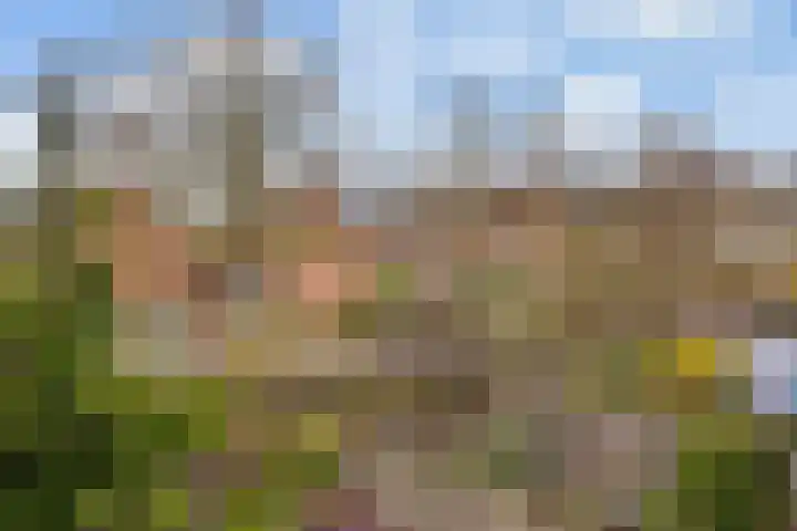 Reigerskamp 573 Maarssen thumbnail 27