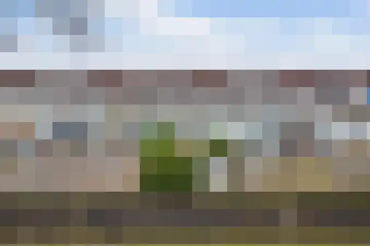 Reigerskamp 573 Maarssen thumbnail 28
